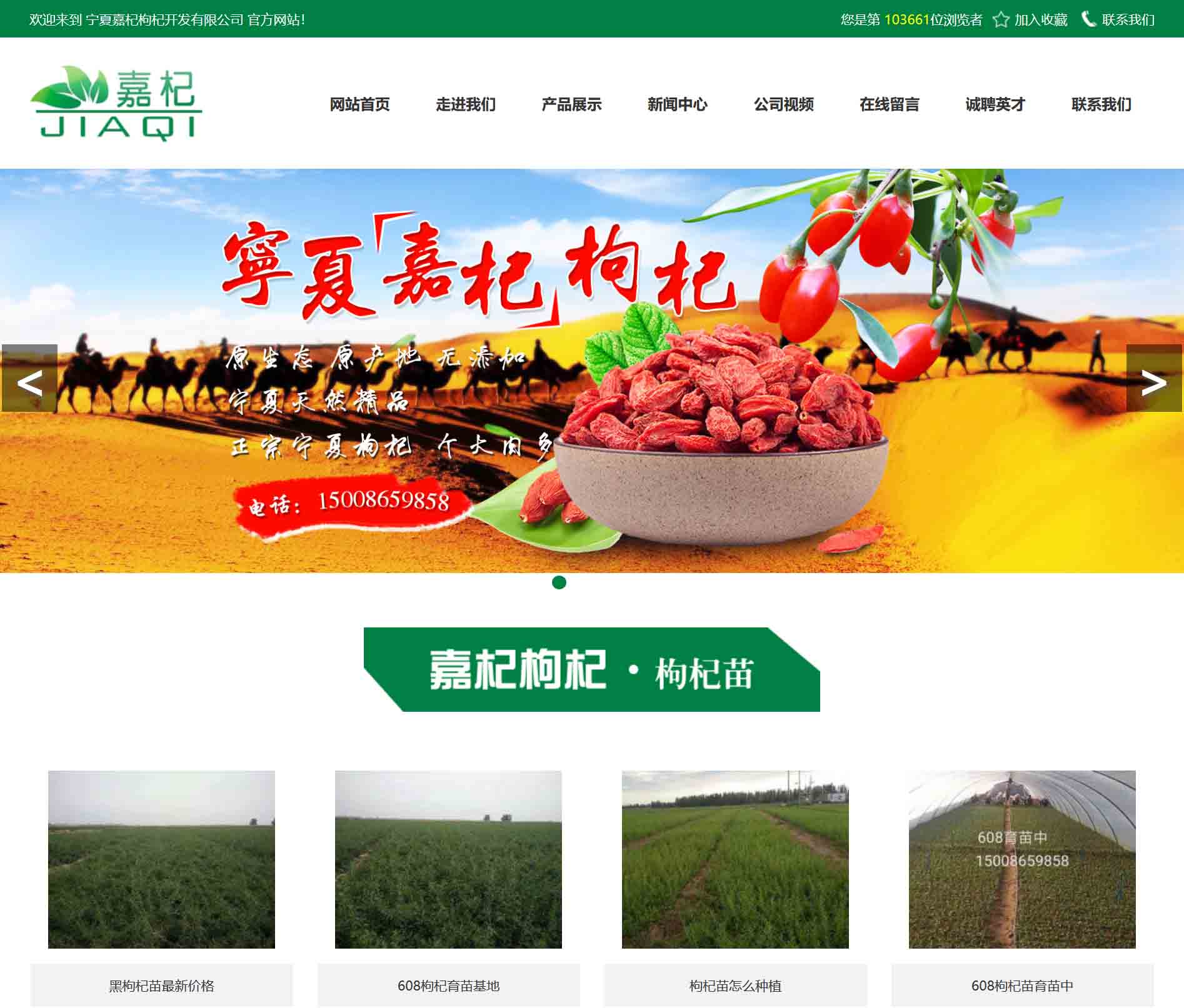 寧夏嘉杞枸杞開發(fā)有限公司